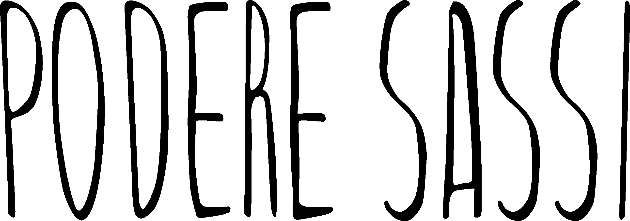 Podere Sassi
